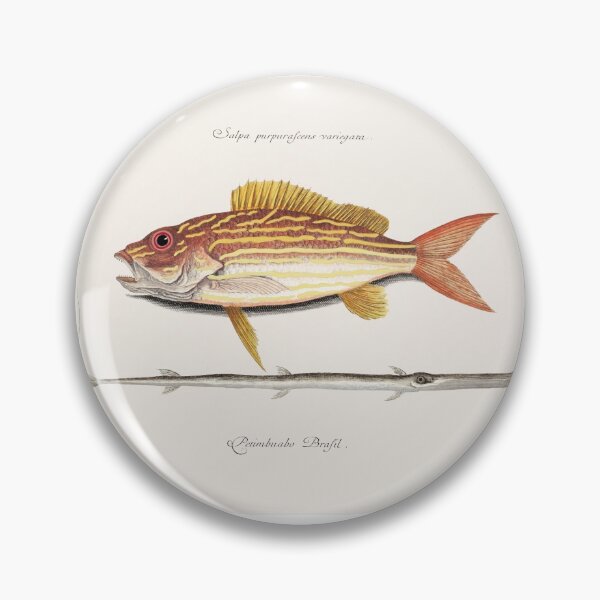 Item preview, Lane-snapper (Salpa purpurascens variegata) designed and sold by FindYouByZ.