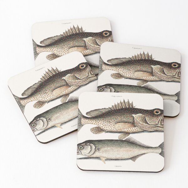 Item preview, Hind fish (Cugupuguaca Brasil) Skipjack (Saltatrix) designed and sold by FindYouByZ.