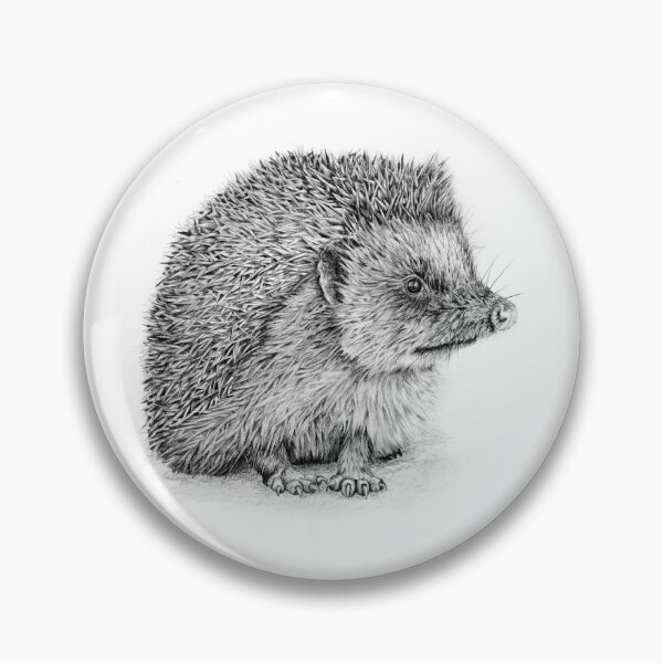 Item preview, Hedgehog.  Original pencil drawing. designed and sold by PeterStaggArt.