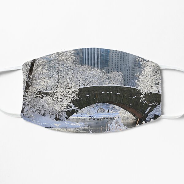 Central Park Snowy Day New York City NY Flat Mask