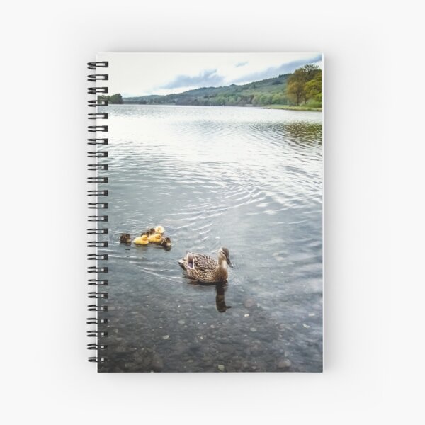 Little Ducks on Esthwaite Spiral Notebook
