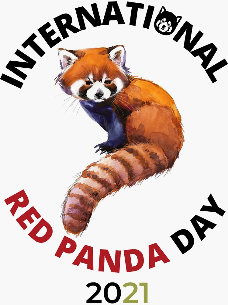 "International Red Panda Day 2021!" Sticker for Sale by RaohKtr | Redbubble