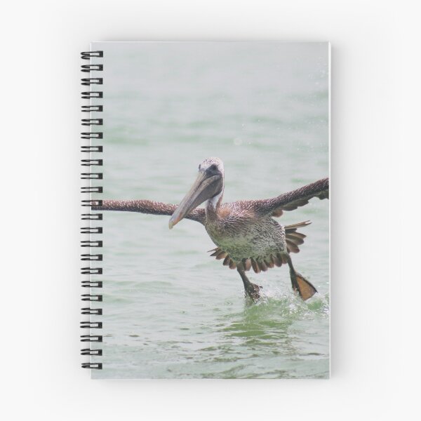 Item preview, Come fly with me  designed and sold by KProbstPhotos.