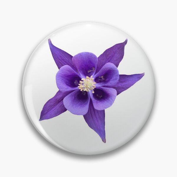 Item preview, Purple Flower Columbine Aquilegia Still Life Floral Photography designed and sold by CottoVerdi.