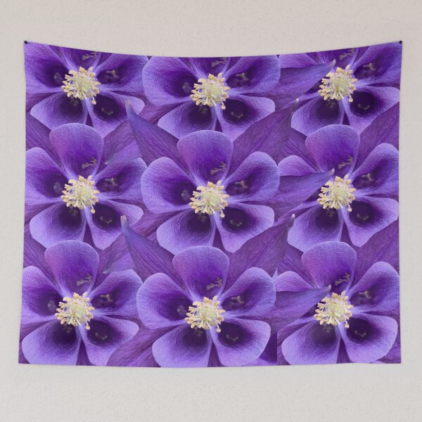 Item preview, Purple Flower Columbine Aquilegia Still Life Floral Photography designed and sold by CottoVerdi.