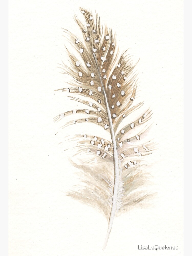 Thumbnail 3 of 3, Sticker, Guinea feather study in watercolour designed and sold by LisaLeQuelenec.