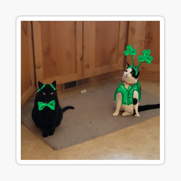 St Patrick's Day Shenanigans Sticker