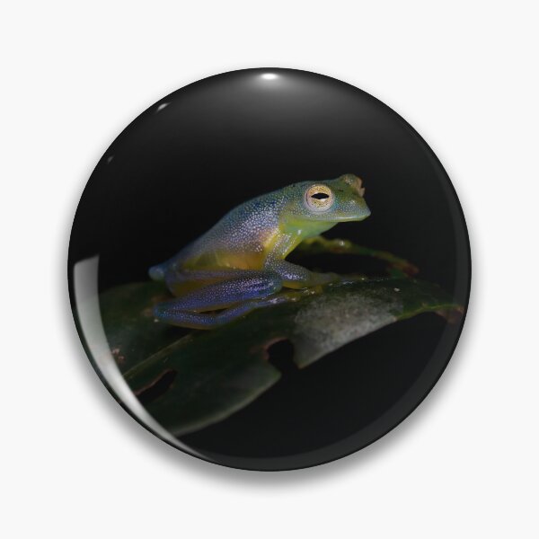 Item preview, Glass Frog designed and sold by mlorenz.