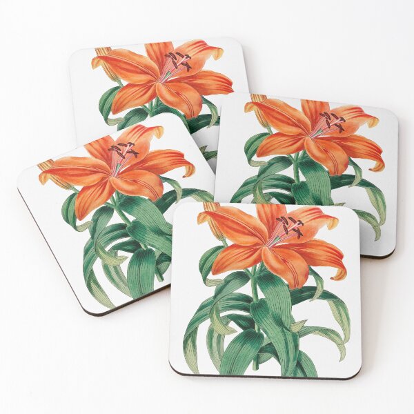 Item preview, Lily by Sydenham Edwards designed and sold by FindYouByZ.