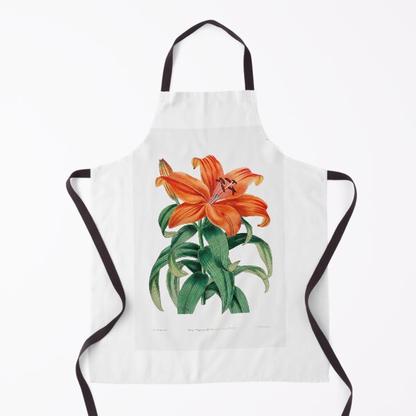 Item preview, Lily by Sydenham Edwards designed and sold by FindYouByZ.
