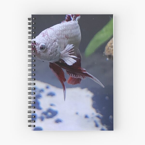 Item preview, Resting Fish Face designed and sold by DancingCreek.