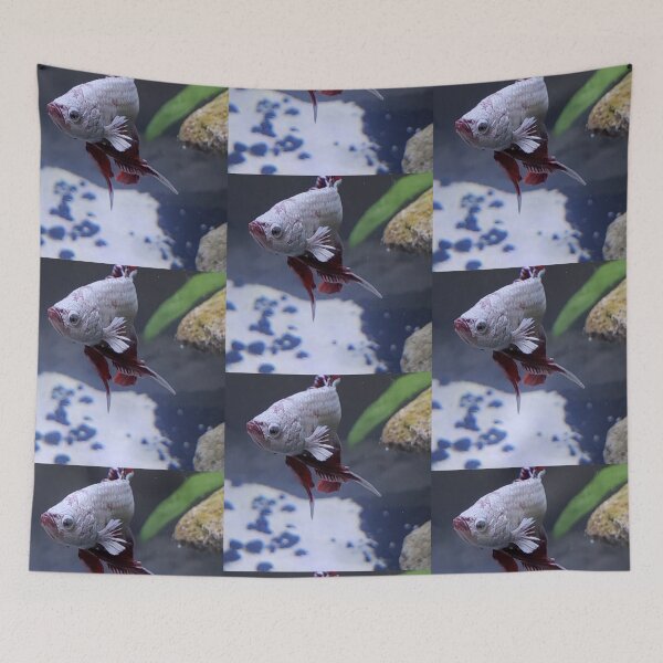 Item preview, Resting Fish Face designed and sold by DancingCreek.