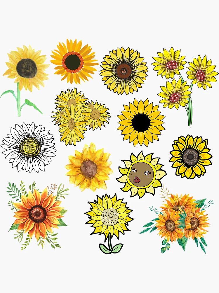 Daisy Flower Sticker — Sisters' Sunflowers