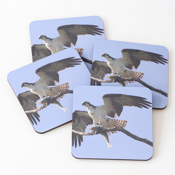 Item preview, Osprey with a fish snack designed and sold by Lexipooh76.