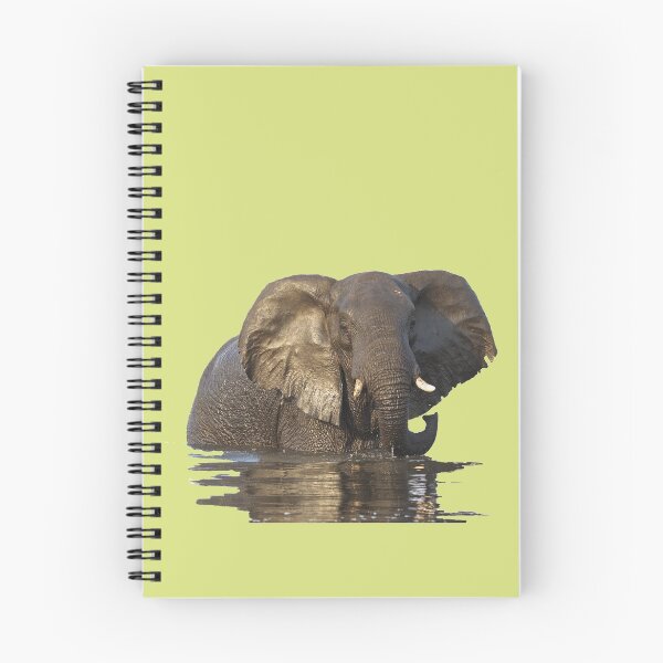 Item preview, Elephant Bronze Beauty of Botswana designed and sold by Jensphotos.