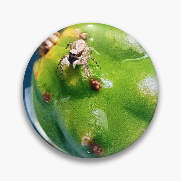 Item preview, Kawaii Jumping Spider designed and sold by IEsavvy.