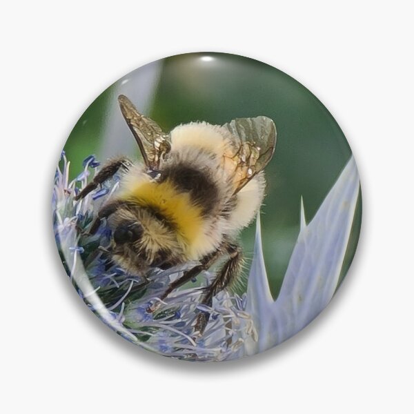 Item preview, TAMalloyPhoto - HAPPY BEE  designed and sold by TAMalloyPhoto.
