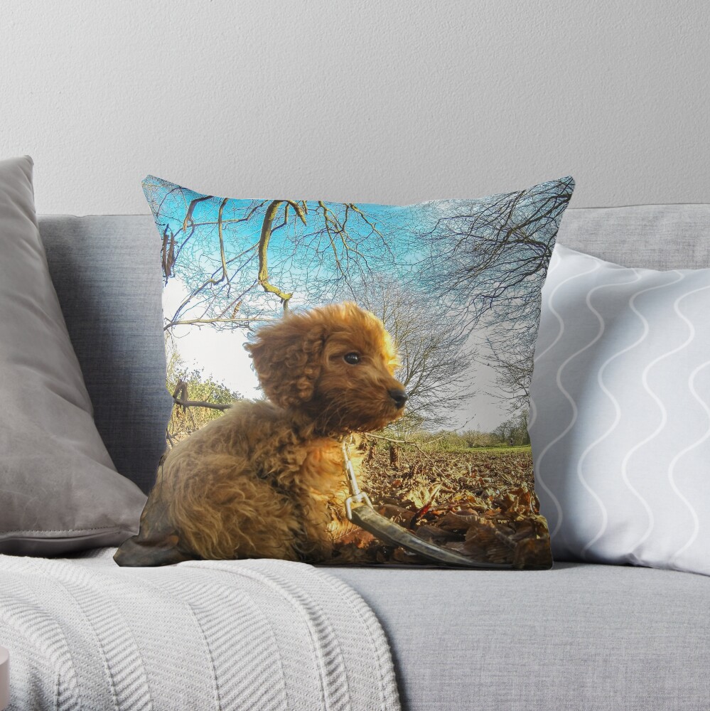 cockapoo pillow