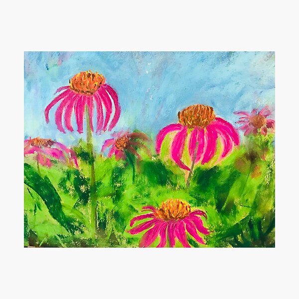 Item preview, Coneflowers designed and sold by DWerle.