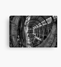 Natural History Museum, London Canvas Print