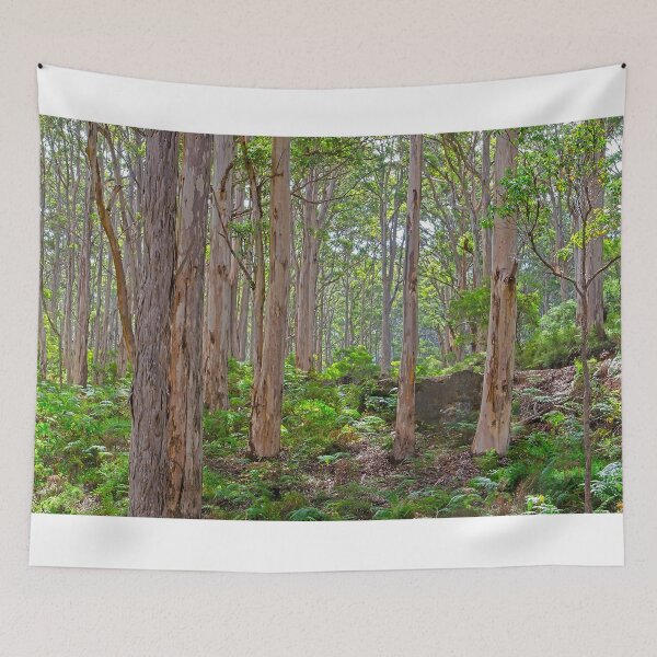 Item preview, Boranup Forest, WA designed and sold by robertcassphoto.