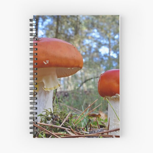 Item preview, Fly Agarics designed and sold by relayer51.