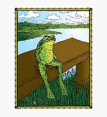 Frog Life Photographic Print