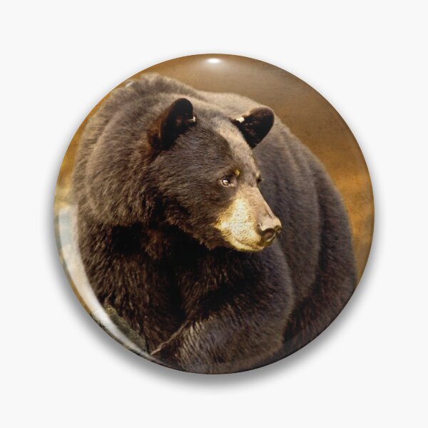 Item preview, The Bear Went Over The Mountain designed and sold by Lois  Bryan.