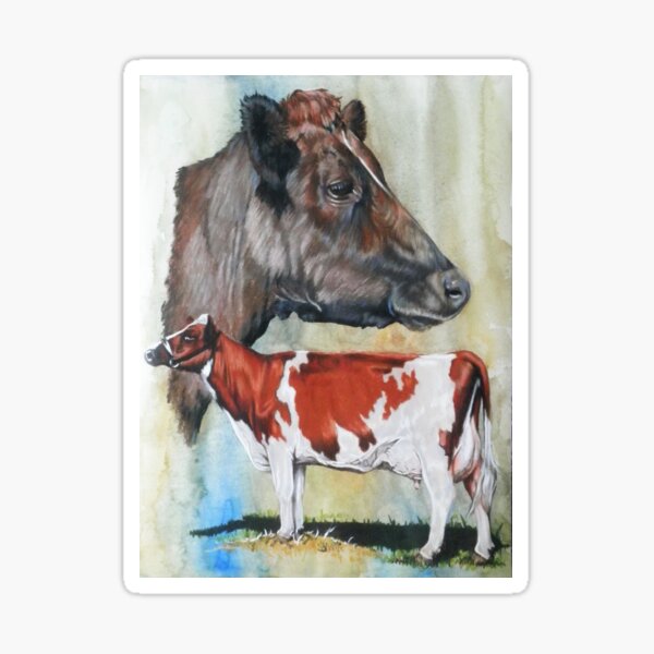 Item preview, Ayrshire Cattle designed and sold by BarbBarcikKeith.