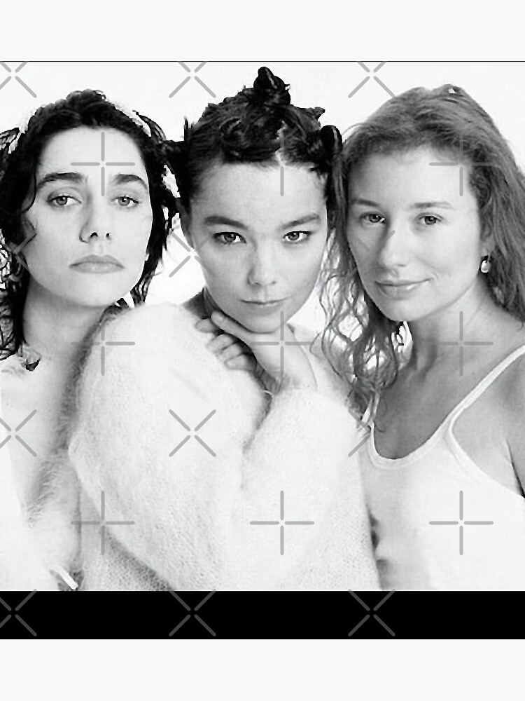 Reproduction Bjork 