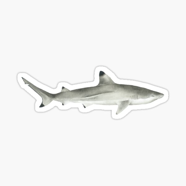 Silly Stickers Thresher Shark - Rambunctious Edition Art Board Print for  Sale by Alex Helms