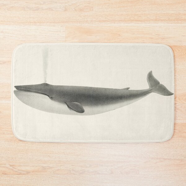 Item preview, The Sulphurbottom (Blue Whale) (1872) by Charles Melville Scammon (1825-1911 designed and sold by tdjacks.