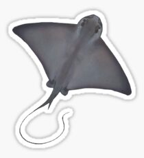 Nanananananana Batraaaay Sticker