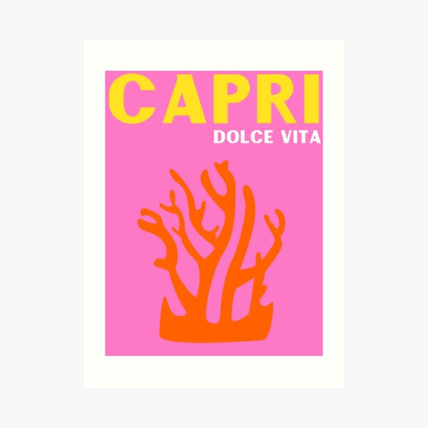 CAPRI Art Print
