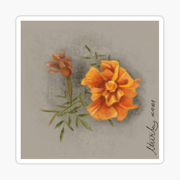 Marigolds Sticker