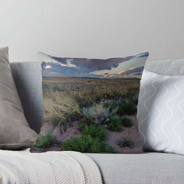 Artikelvorschau, Pawnee Grasslands Sunset #2 entworfen und verkauft von johnny gomez.