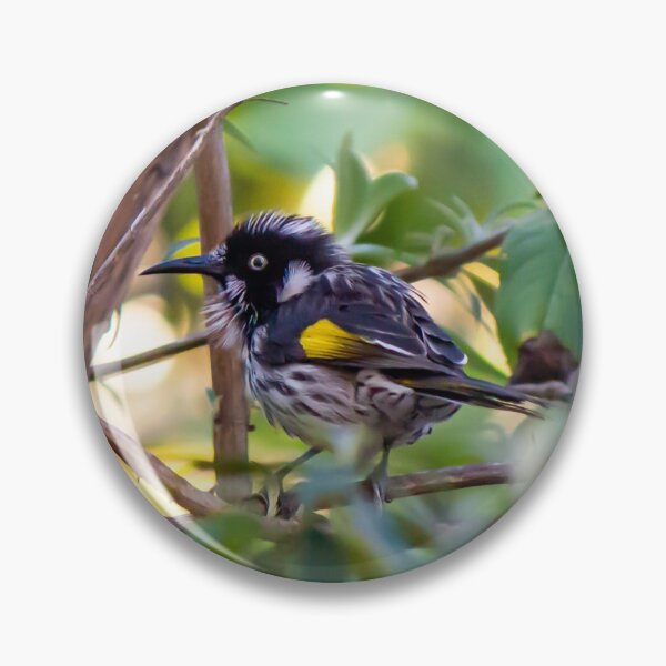 Item preview, New Holland Honeyeater on Bough designed and sold by FigTreeMagick.