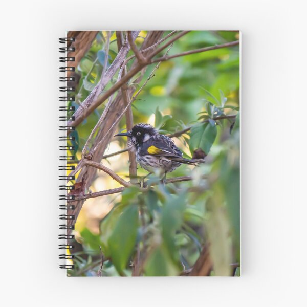 Item preview, New Holland Honeyeater on Bough designed and sold by FigTreeMagick.