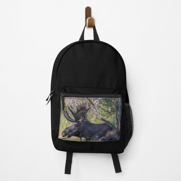 Item preview, No Worries Bull Moose just relaxing designed and sold by Chris Casanova.