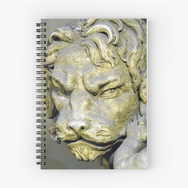 Item preview, Lion head sculpture, Barrage Vauban, Strabsourg, France designed and sold by Elzbieta Fazel.