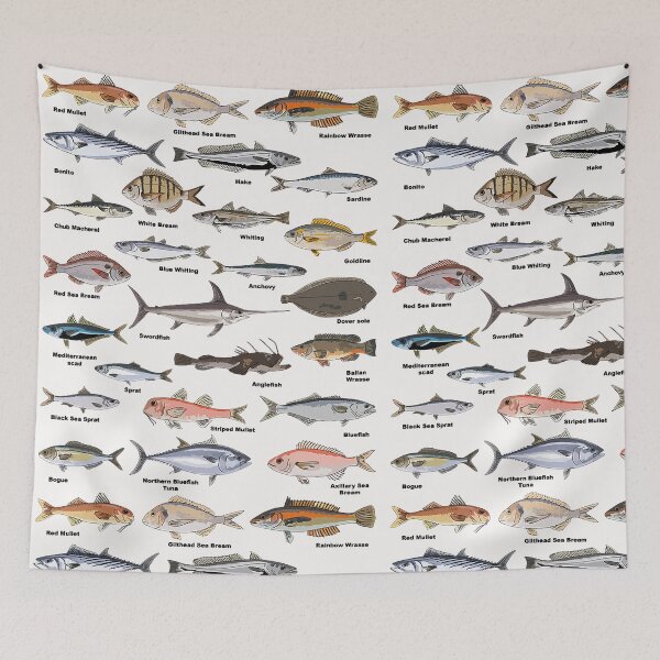 Item preview, Vintage Fish Identification Chart Fishing  designed and sold by SuzyTanner.