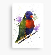 Aquarell Lorikeet im Tiergeschäft Leinwanddruck