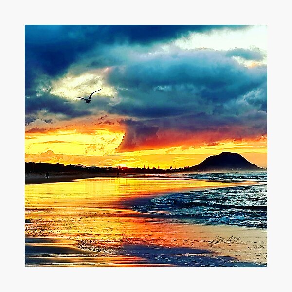 LONELY BIRD IN ORANGE SUNSET Photographic Print