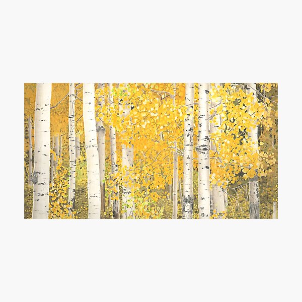 Item preview, Colorado Aspens in the Fall designed and sold by Vknoll.