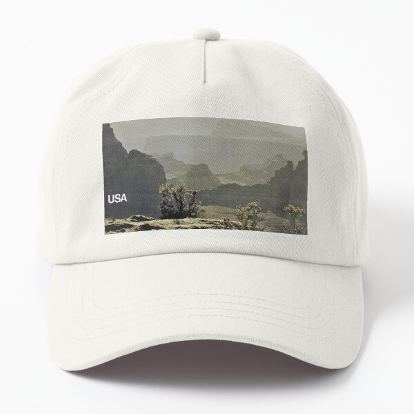USA Vintage airline poster Dad Hat