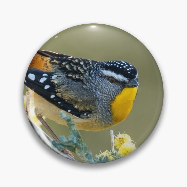 Item preview, Spotted Pardalote designed and sold by John  Kowalski.
