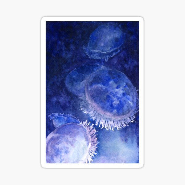Watercolor Moon Jellyfish at the Seattle Aquarium Sticker