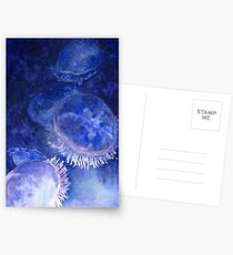 Watercolor Moon Jellyfish at the Seattle Aquarium Postcards