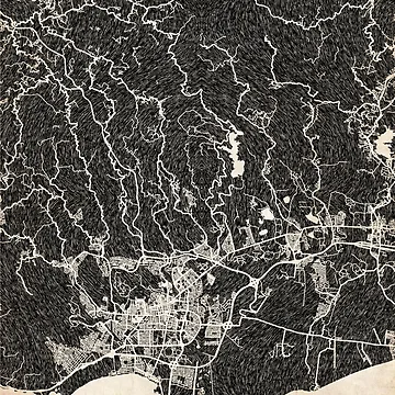Aperçu de l'œuvre Ponce map Puerto Rico Ink lines 2 de InkMaps