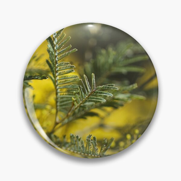 Item preview, Wattle Tree Leaves Green  designed and sold by Joy Watson - Natural Light Photography .